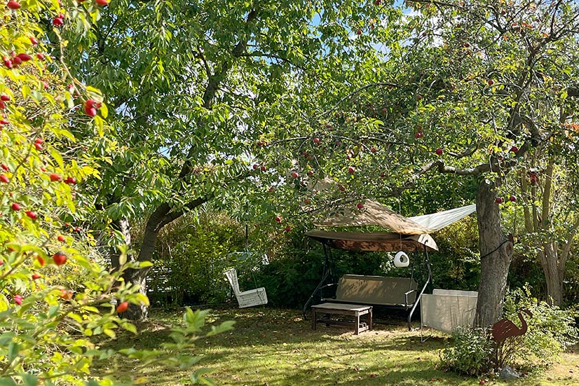 KGV-Werder_2025_Gartenimpressionen_04_Oelgemoeller Gartenansicht_4