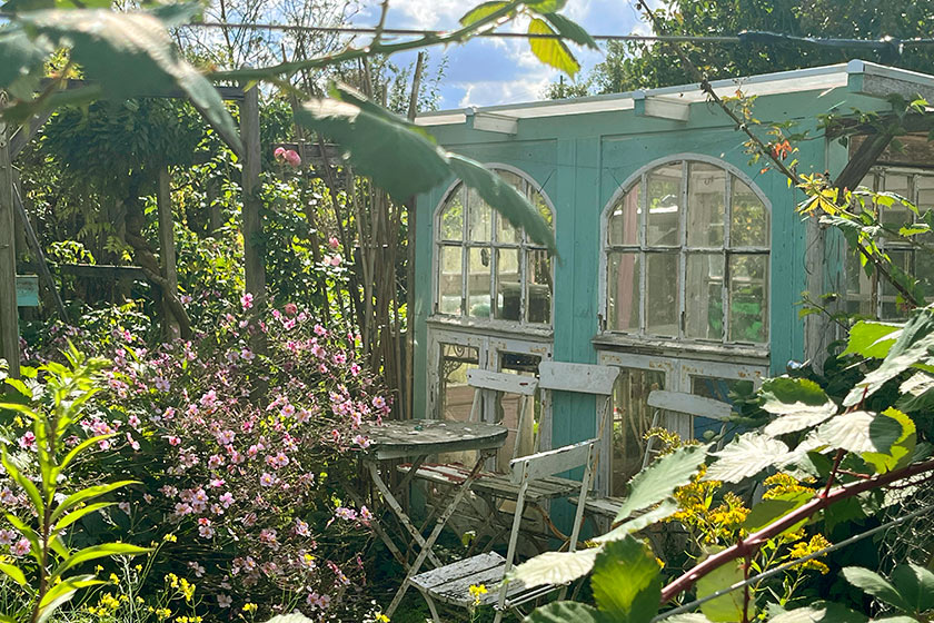 KGV-Werder_2025_Gartenimpressionen_08_Oelgemoeller Gartenansicht_8