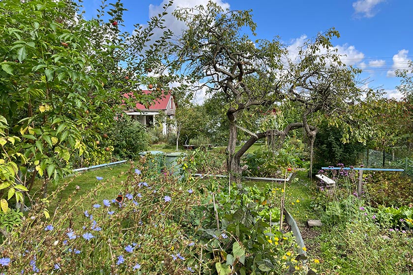 KGV-Werder_2025_Gartenimpressionen_10_Oelgemoeller Gartenansicht_10