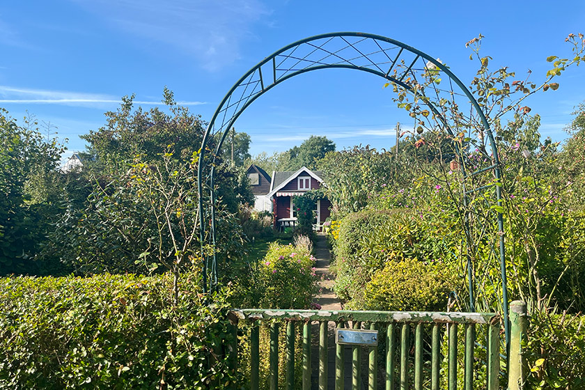 KGV-Werder_2025_Gartenimpressionen_28_Oelgemoeller Gartenansicht_28
