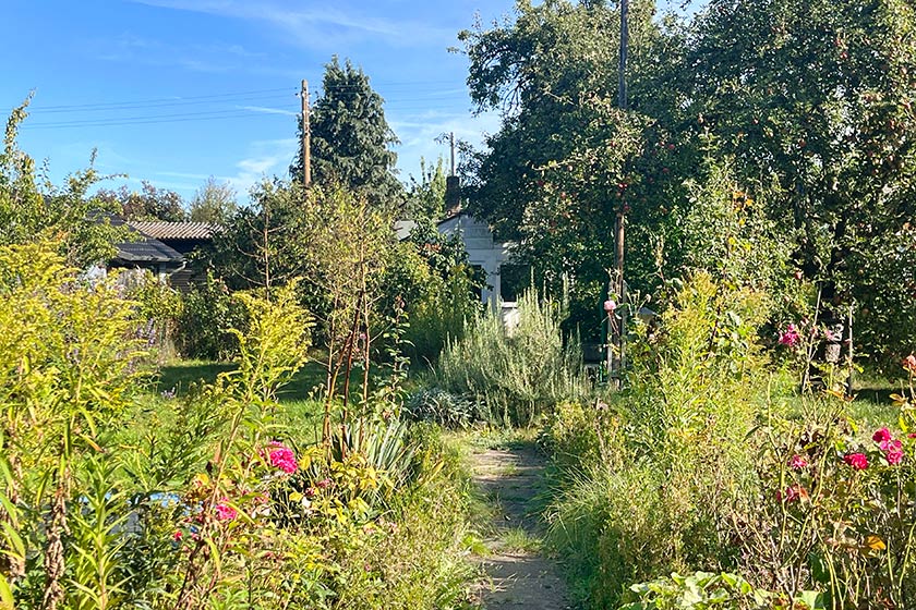 KGV-Werder_2025_Gartenimpressionen_30_Oelgemoeller Gartenansicht_30