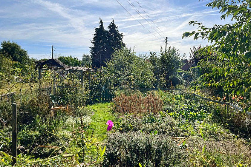 KGV-Werder_2025_Gartenimpressionen_34_Oelgemoeller Gartenansicht_34