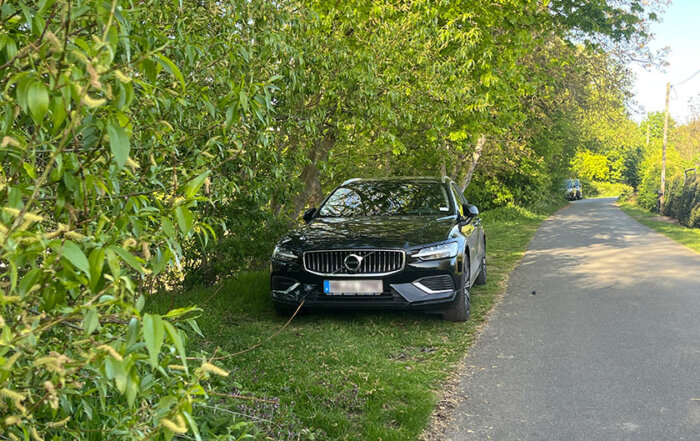 Parken auf Grünstreifen